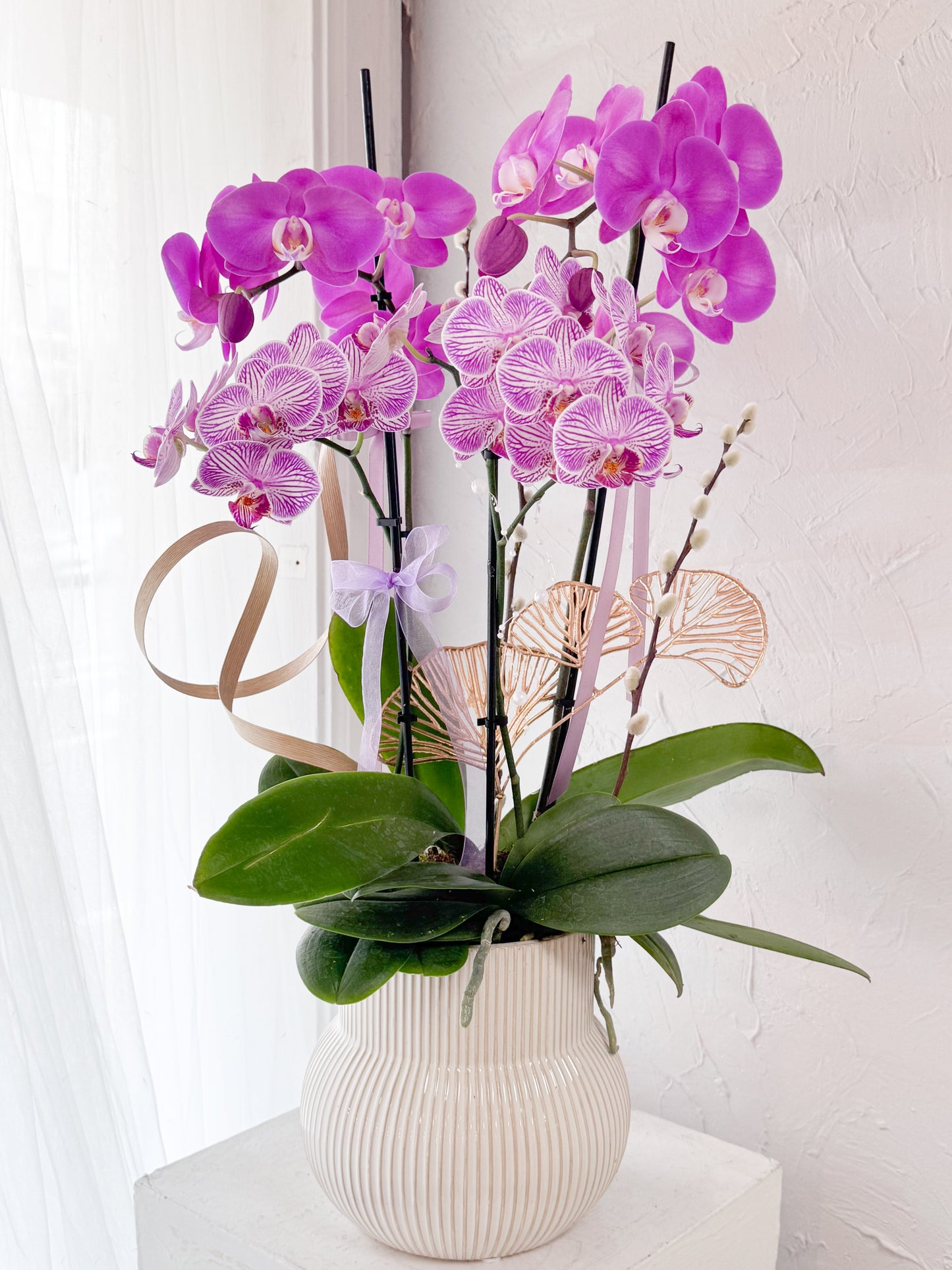 Radiant Blossom Orchid